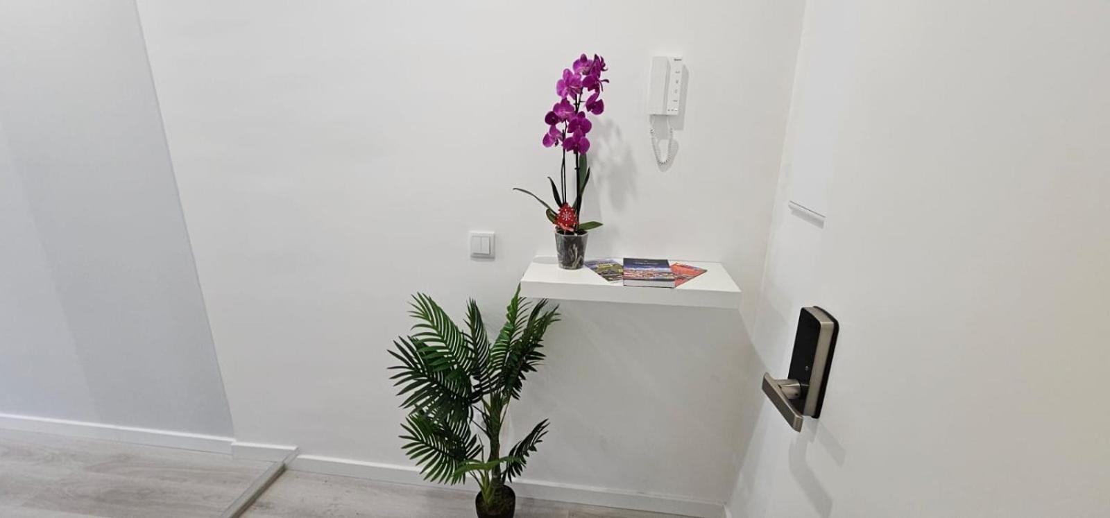 Time Off Madeira Apartment ฟุงชาล ภายนอก รูปภาพ